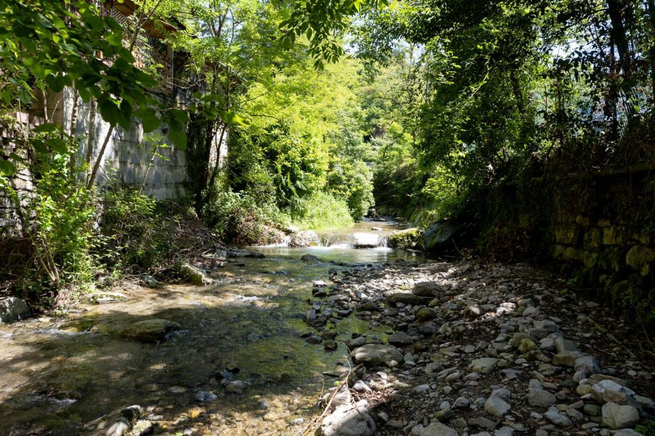 La Casa Sotto Le Cascate Lago Maggiore - Ixihome Cittiglio المظهر الخارجي الصورة